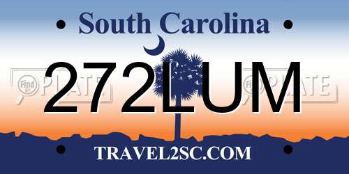 272LUM South Carolina License Plate