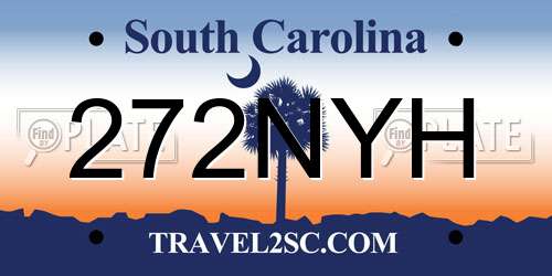 272NYH South Carolina License Plate