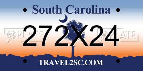 272X24 South Carolina License Plate