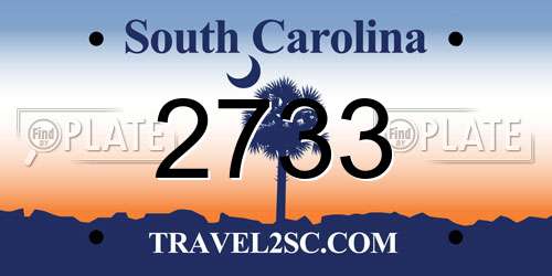2733 South Carolina License Plate