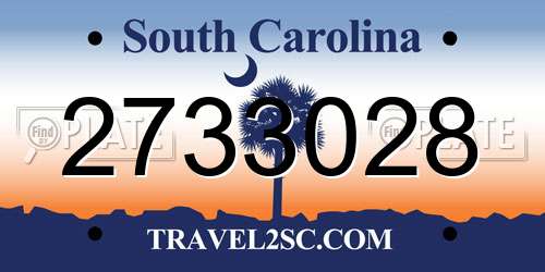 2733028 South Carolina License Plate