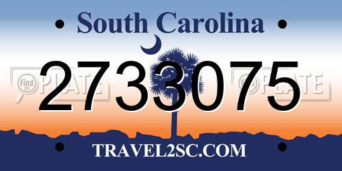 2733075 South Carolina License Plate