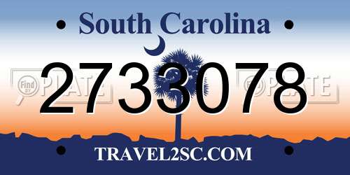 2733078 South Carolina License Plate