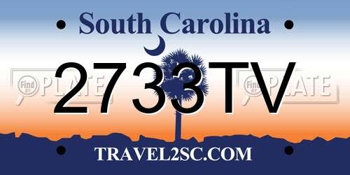 2733TV South Carolina License Plate