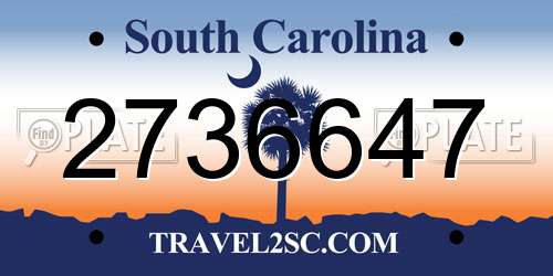 2736647 South Carolina License Plate
