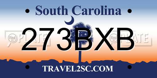 273BXB South Carolina License Plate
