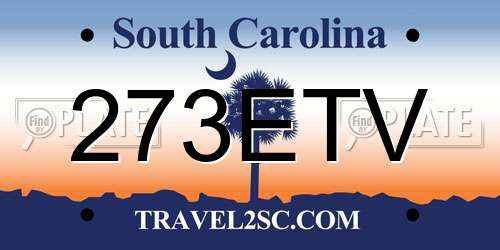 273ETV South Carolina License Plate