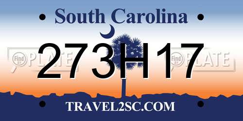 273H17 South Carolina License Plate