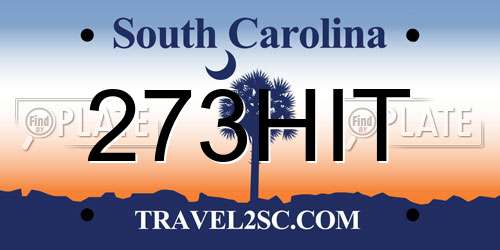 273HIT South Carolina License Plate