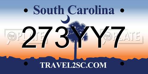 273YY7 South Carolina License Plate