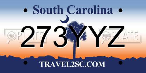 273YYZ South Carolina License Plate