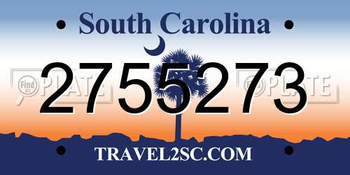2755273 South Carolina License Plate