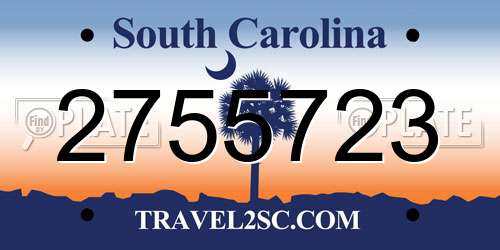 2755723 South Carolina License Plate