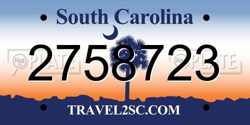 2758723 South Carolina License Plate