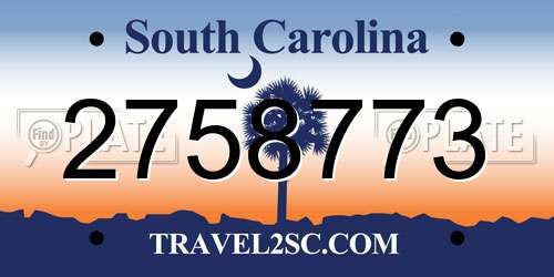 2758773 South Carolina License Plate