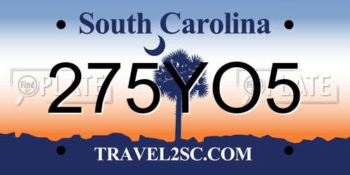 275YO5 South Carolina License Plate