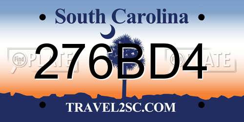 276BD4 South Carolina License Plate