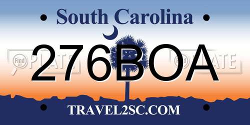 276BOA South Carolina License Plate