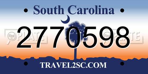 2770598 South Carolina License Plate