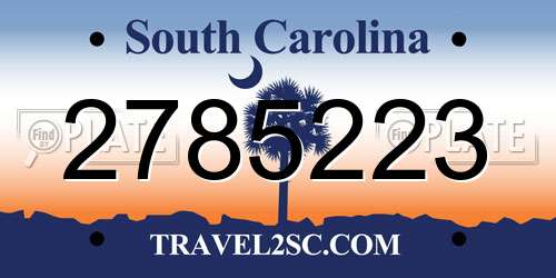 2785223 South Carolina License Plate