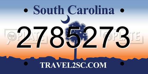 2785273 South Carolina License Plate