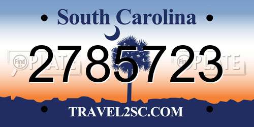 2785723 South Carolina License Plate
