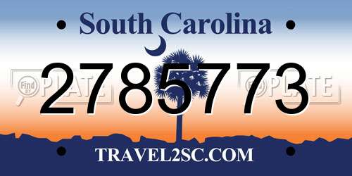 2785773 South Carolina License Plate