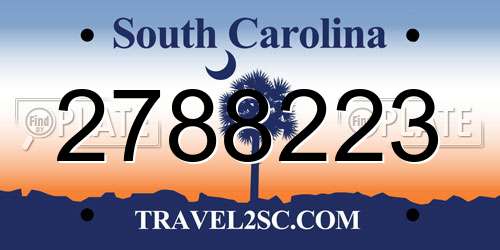 2788223 South Carolina License Plate