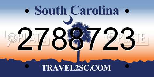 2788723 South Carolina License Plate