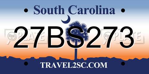 27BS273 South Carolina License Plate