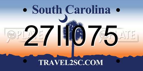 27II075 South Carolina License Plate