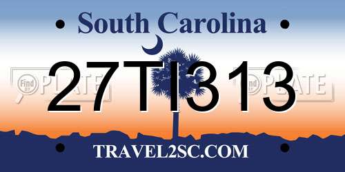27TI313 South Carolina License Plate