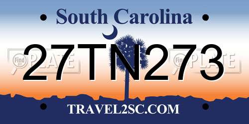 27TN273 South Carolina License Plate