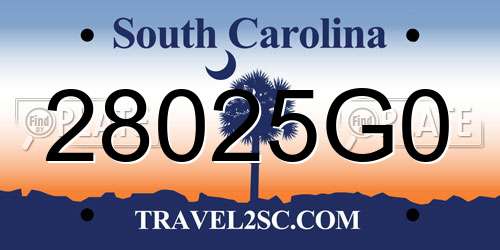 28025G0 South Carolina License Plate