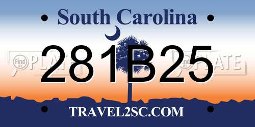 281B25 South Carolina License Plate