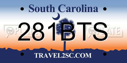 281BTS South Carolina License Plate