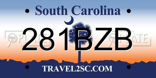 281BZB South Carolina License Plate