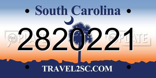 2820221 South Carolina License Plate