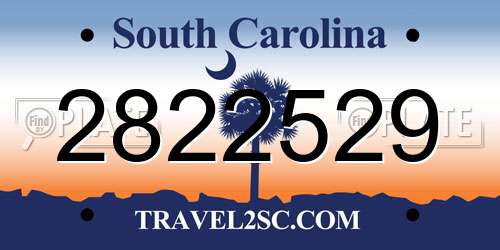 2822529 South Carolina License Plate