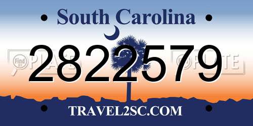 2822579 South Carolina License Plate