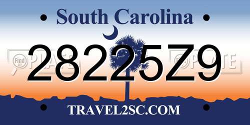28225Z9 South Carolina License Plate