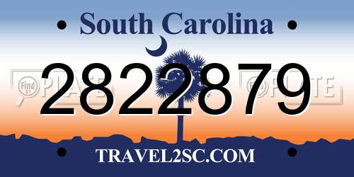 2822879 South Carolina License Plate