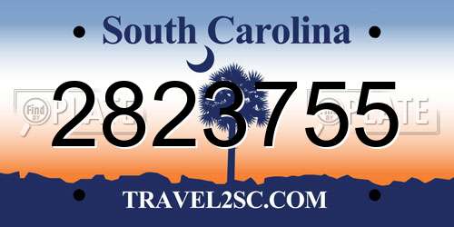 2823755 South Carolina License Plate
