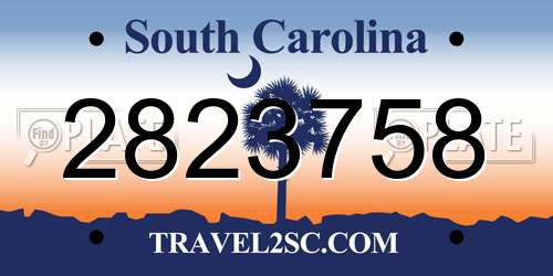 2823758 South Carolina License Plate