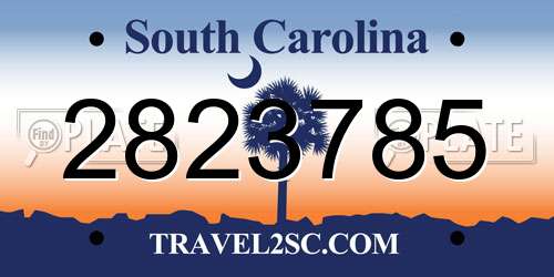 2823785 South Carolina License Plate