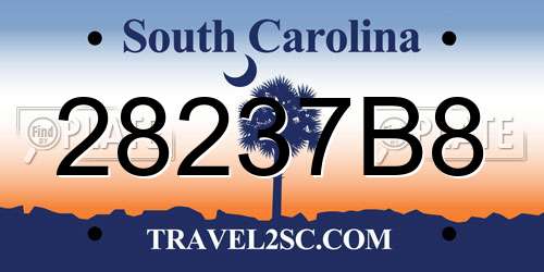 28237B8 South Carolina License Plate
