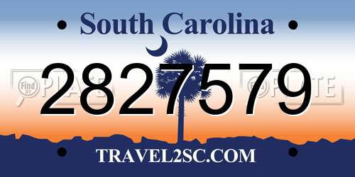 2827579 South Carolina License Plate