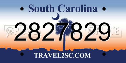 2827829 South Carolina License Plate