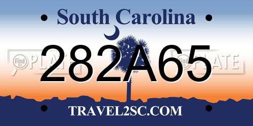 282A65 South Carolina License Plate