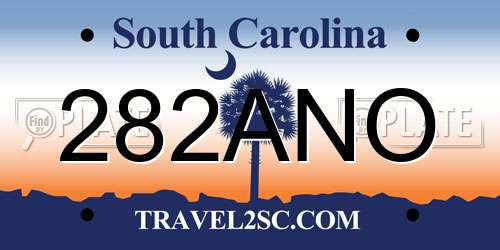 282ANO South Carolina License Plate